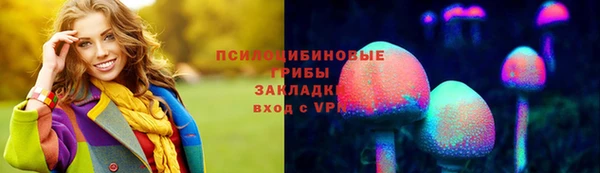 стаф Богородицк