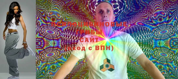 PSILOCYBIN Богданович