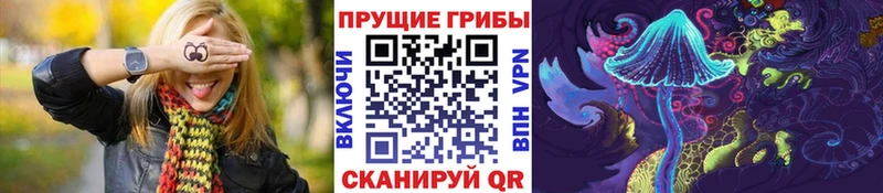 гидра онион  Межгорье  Псилоцибиновые грибы ЛСД 